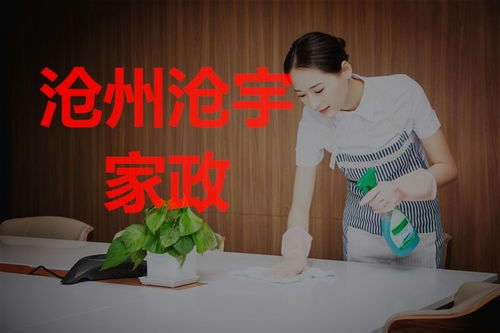 在沧州找家政服务,搬家后的房屋保洁工作该如何做呢